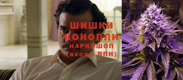 меф Пересвет